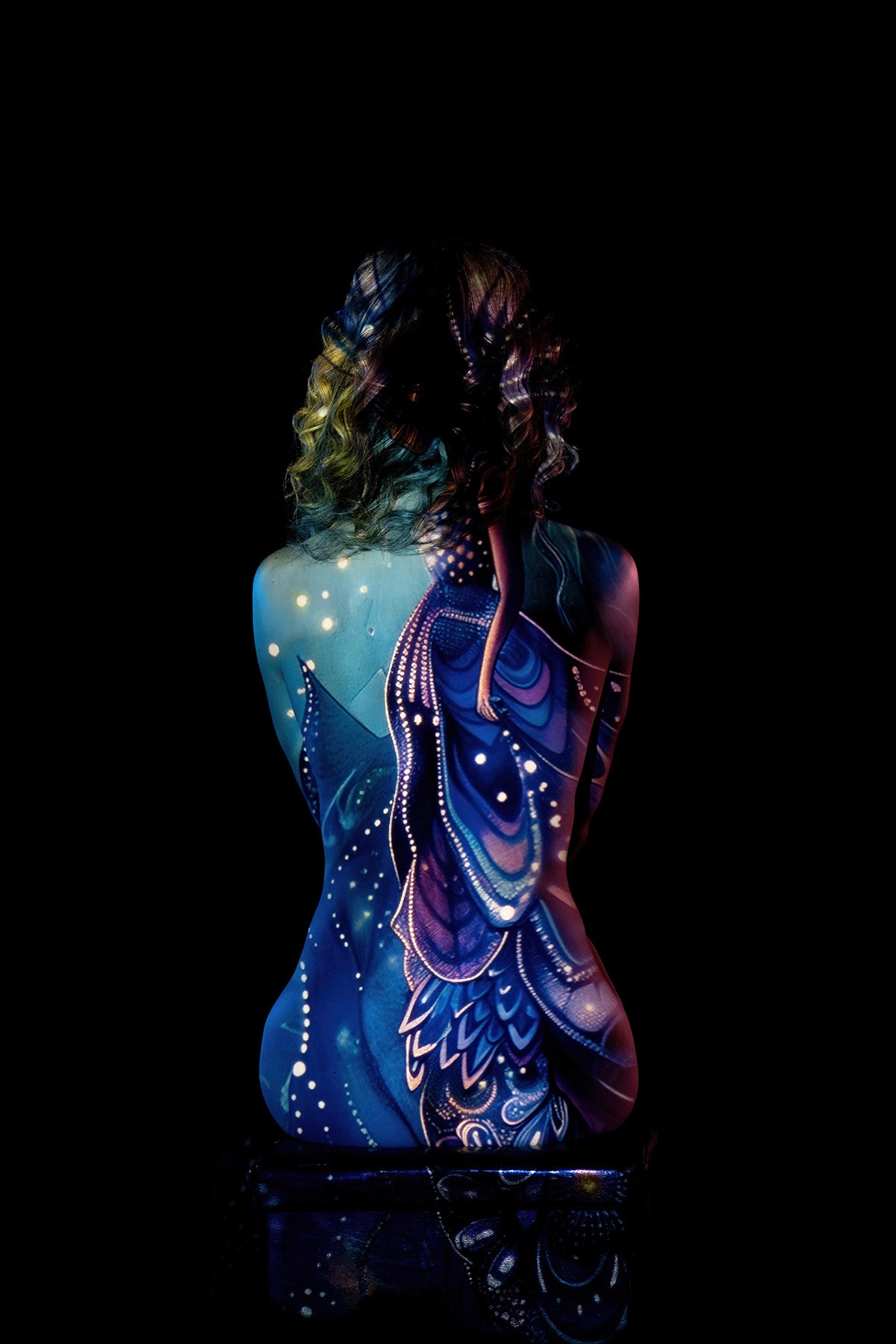 Butterfly emerged  - 10x14 Metal Print